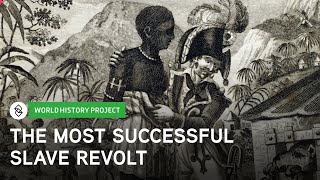 The Haitian Revolution and Its Causes  World History Project [upl. by Deeas]