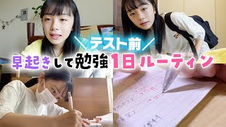 【テスト前】早起きして勉強の1日ルーティン♪ テスト前の土曜日は超重要だ！ [upl. by Schonfield]