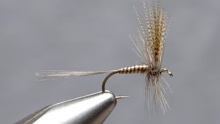 Quill Gordon Dry Fly [upl. by Eiznikam]