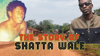 The story of Shatta Wale  Before The Fame  Taking Over [upl. by Telfer]