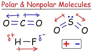 Polar and Nonpolar Molecules [upl. by Anos]