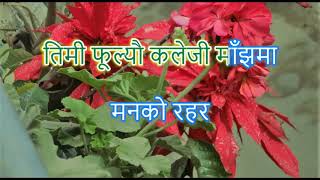 Rato Rani Phoole Jhai Sanjh ma रातो रानी फूले झैं साँझमा Karaoke with lyrics [upl. by Roee]