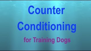 Counter Conditioning a Visual Explanation [upl. by Porche677]