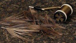 Stripping Peacock Quills [upl. by Manya]