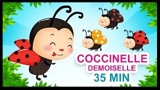 Coccinelle demoiselle  Comptines pour les petits  Titounis [upl. by Norok]