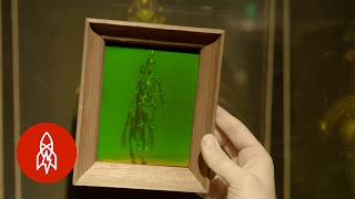 The LaserBased Science Behind 3D Holograms [upl. by Ecirad607]