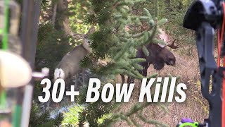 30 Bow Hunts in Under 15 Minutes Eastmans’ Bow Hunting [upl. by Fern]