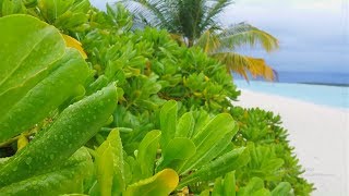 Rainy day in the Maldives  Holiday Island Resort [upl. by Annawot]