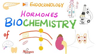 Bioidentical Hormones Explained amp Why They Are SAFE and EFFECTIVE [upl. by Retsevlys]