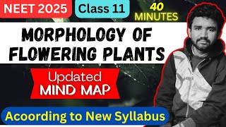 Mind Map  Morphology of flowering plants  NEET 2025 Class 11 [upl. by Burgener]