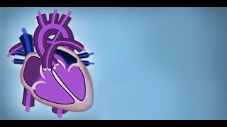 Fetal Circulation  Embryology  Dr Najeeb [upl. by Nauqahs60]