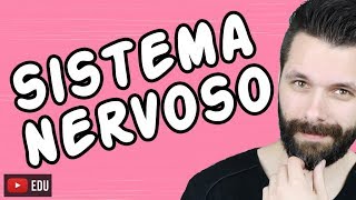 SISTEMA NERVOSO  FISIOLOGIA  Aula  Biologia com Samuel Cunha [upl. by Fidelia467]