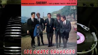 Les Chats Sauvages  Derniers baisers 1962 [upl. by Ahsea]