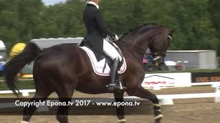 Falsterbo Horse Show warm up arena  Friday 14 July 2017 [upl. by Niwdog]