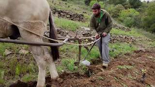 Egoitz Azkue García El Priorat [upl. by Capps]