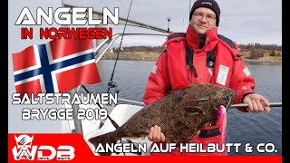 Angeln in Norwegen 2019 Saltstraumen Brygge Fishing Angel Berger Wild Devil Baits Tour [upl. by Hakceber]