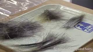 How to Remove Porcupine Quills [upl. by Laurent292]