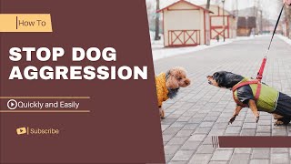 How to stop Dog Aggression quickly And easily  In a few steps [upl. by Amii]