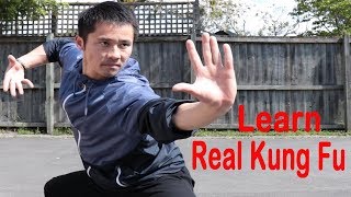 Shaolin Kung Fu Wushu Basic Training For Beginners  Session 1 [upl. by Limber397]