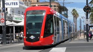 Trams and buses in Glenelg  Adelaide Metro [upl. by Ane601]