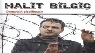 HALİT BİLGİÇ  BİZ YIKILMAYIZ [upl. by Norwood]