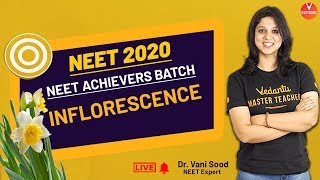 Inflorescence  Class 11 NEET Biology  NEET 2020 Achievers  Dr Vani Maam  Vedantu Biotonic [upl. by Neila501]