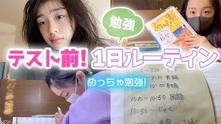 期末テスト1週間前の休日1日勉強ルーティン♪早起きして朝から夜まで計画どおりに勉強できた？ [upl. by Dhiman]