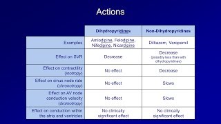 Antiarrhythmics Lesson 5  Calcium Channel Blockers [upl. by Ado]