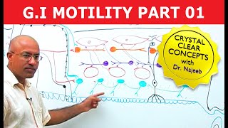 G I Motility  Gastrointestinal  Part 1 [upl. by Mandie]