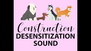 Dog Desensitization Puppy Socialization Construction Noise and Sound [upl. by Melosa]