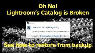 Restoring the Lightroom Classic Catalog from a Backup [upl. by Sully]