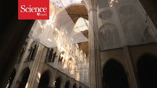 A look inside the restoration of Notre Dame cathedral [upl. by Edlyn207]