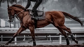 MIC Drop  Horse Racing Music Video [upl. by Statis]