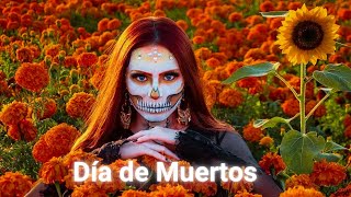 Así es DÍA de MUERTOS en MÉXICO  Documental Así se quotVIVEquot la muerte [upl. by Honig]