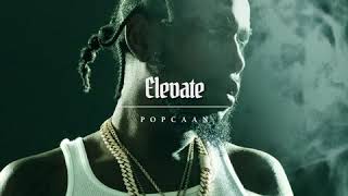 Popcaan  Elevate Official Audio [upl. by Alben]