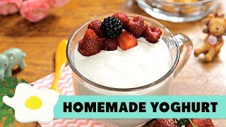 Resep Homemade Yoghurt [upl. by Nal]