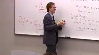 Principles of Macroeconomics Lecture 4  Introduction to Economics 3 [upl. by Hadeehsar]