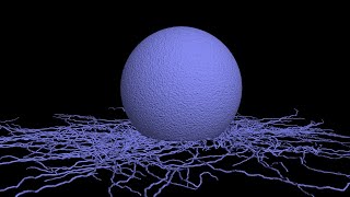 Mesenchymal Stem Cells [upl. by Mcintyre]