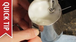 How to AutoFroth Milk for Lattes [upl. by Juanne849]