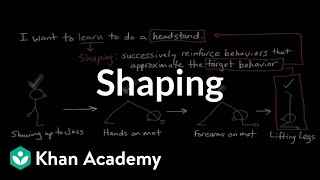 Operant conditioning Shaping  Behavior  MCAT  Khan Academy [upl. by Amling546]