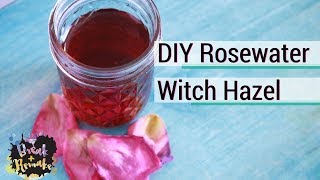 DIY Rosewater Witch Hazel  great face toner  from frozen rose petals [upl. by Akimehs]