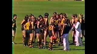 1985 SANFL Grand Final  Glenelg vs North Adelaide [upl. by Arrec845]