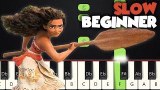 How Far Ill Go  Moana  SLOW BEGINNER PIANO TUTORIAL  SHEET MUSIC by Betacustic [upl. by Suiradel136]