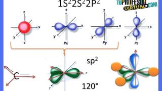 Hibridación de los Orbitales del Átomo de Carbono  Lección Teórica [upl. by Eenrahc]