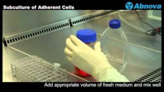 Subculture of Adherent Cells [upl. by Simmonds500]