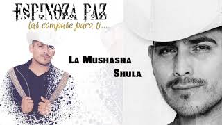 Espinoza Paz  La Mushasha Shula Las Compuse Para Ti [upl. by Nhor7]