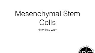 Mesenchymal Stem Cell [upl. by Eartnoed]