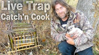 Primitive Live Trap Catch and Cook  Invasive Evasive Town Bunnies [upl. by Atig]