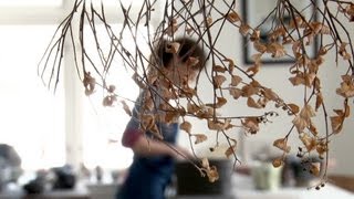 Anne Mette Hjortshøj quotPaying Honest Attentionquot  beautiful film about Danish potter [upl. by Gamages]