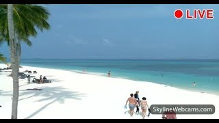 Amazing live webcam from the Maldives [upl. by Sirdna292]